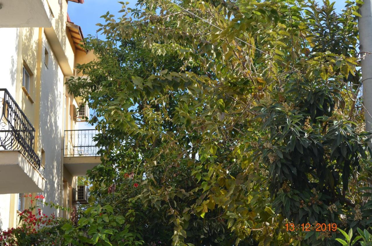Hotel Uygar Fethiye Exterior foto